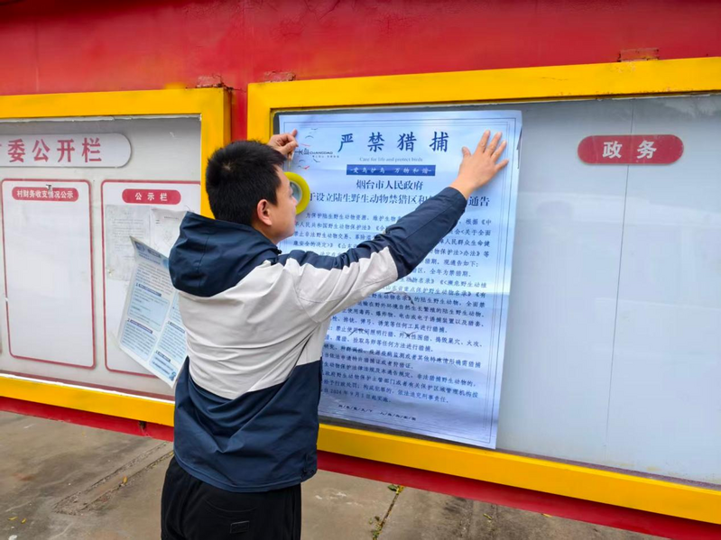 图片33.png